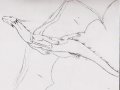 a_1236512182639_LOTRFN_-_Khorah__the_dragon_by_LOTRFN.jpg